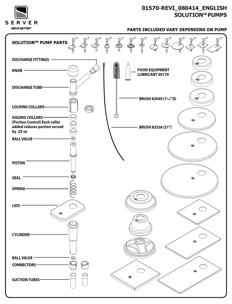 Server SOLUTION User manual