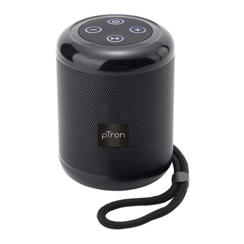 pTron Quinto user manual