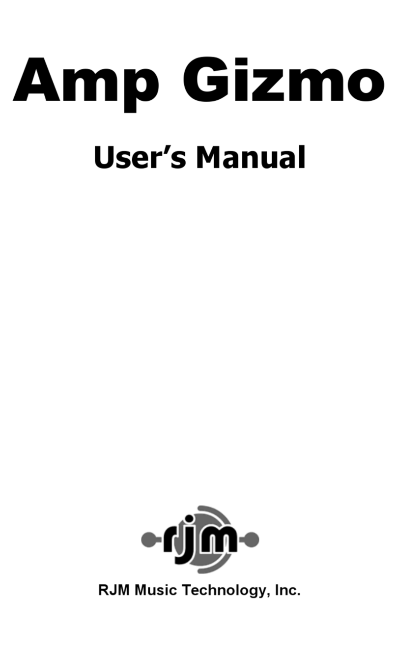 RJM Amp Gizmo user manual