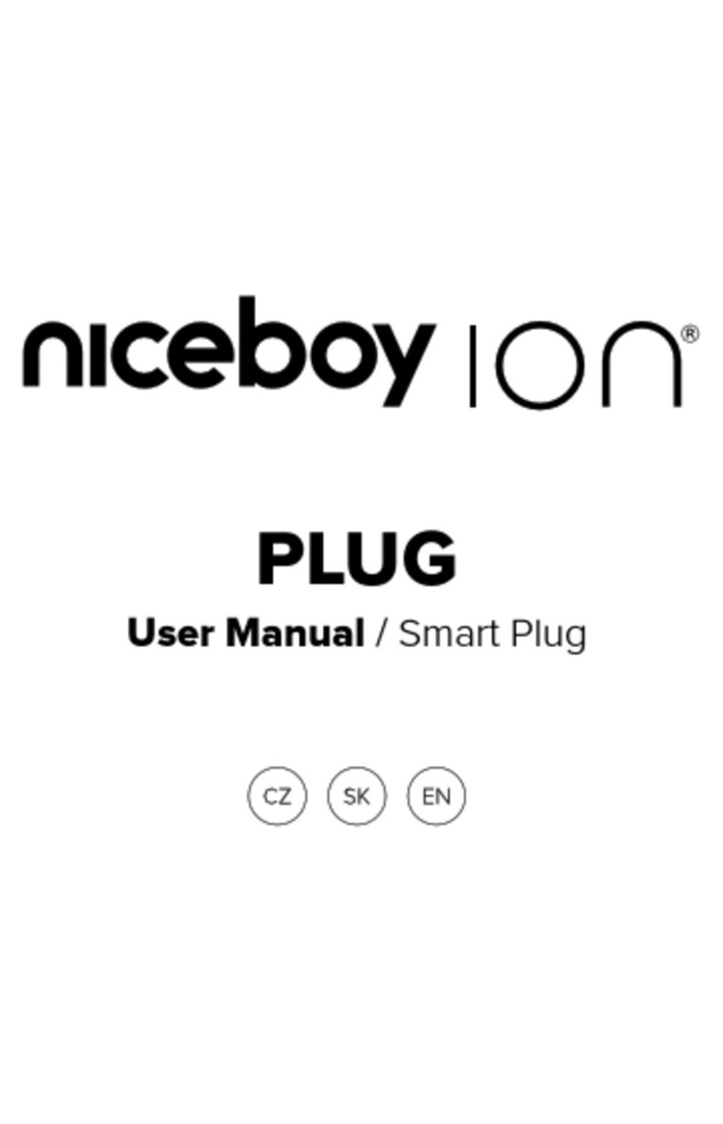 Niceboy ION user manual