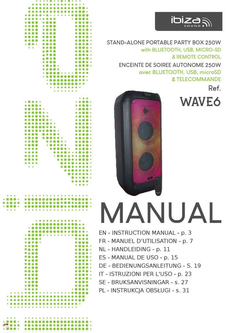 Ibiza sound WAVE6 instruction manual