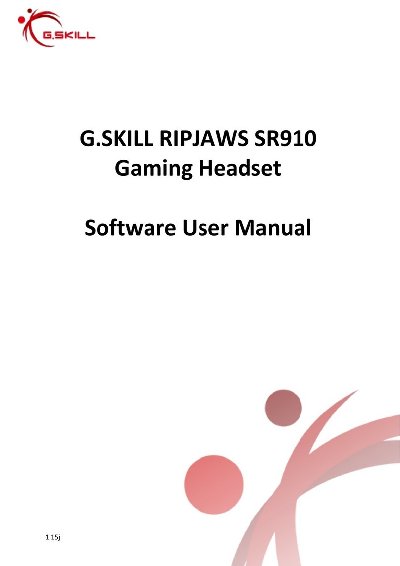 G.SKILL RIPJAWS SR910 Software user manual