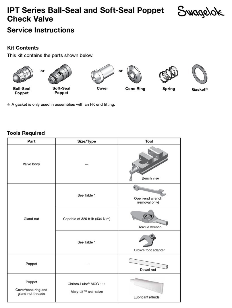 Swagelok IPT Series Service instructions
