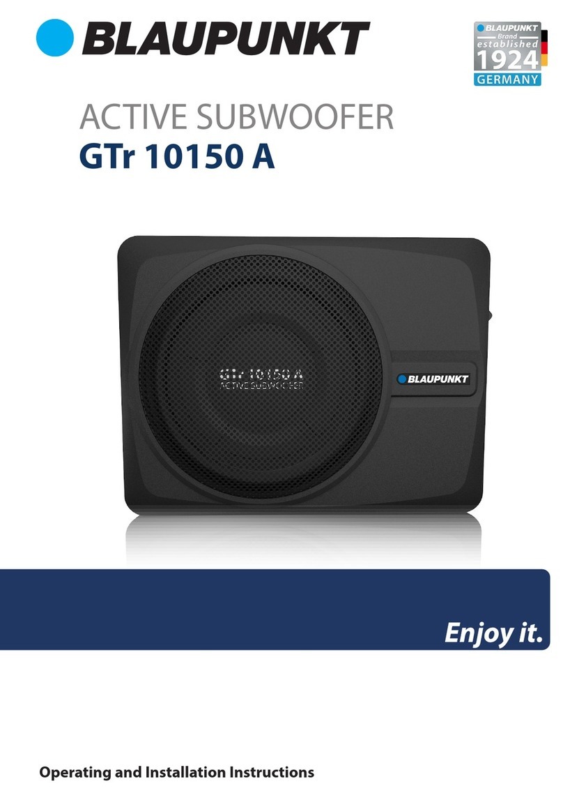 Blaupunkt GTr 10150 A User manual