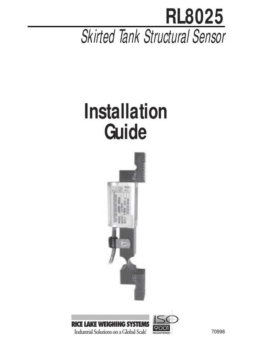 Rice Lake RL8025 installation guide