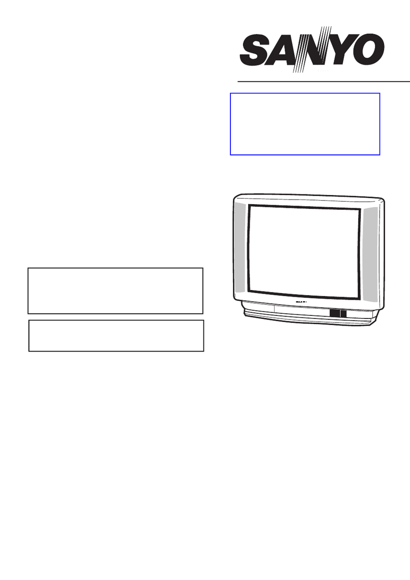 Sanyo 28DN2F User manual