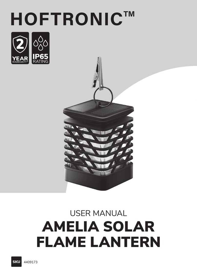 Hoftronic AMELIA user manual