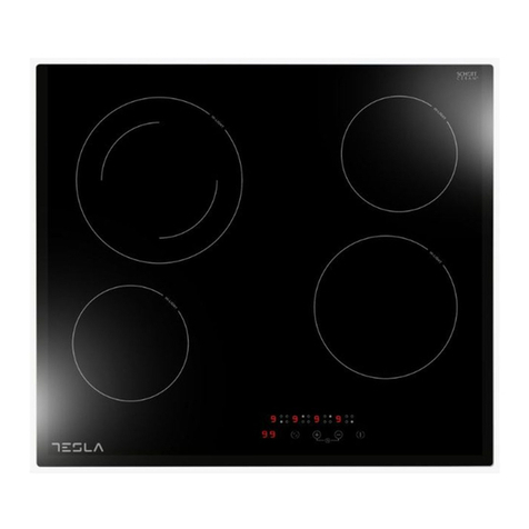 Tesla HV6410TB user manual