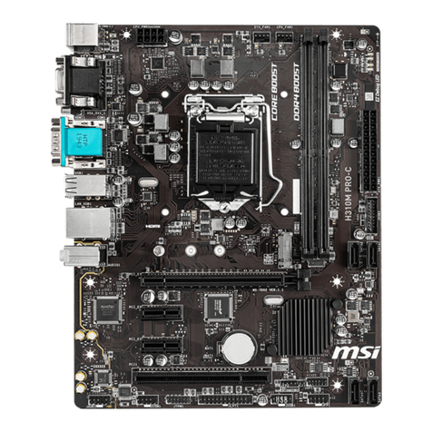 MSI H310M PRO-C manual