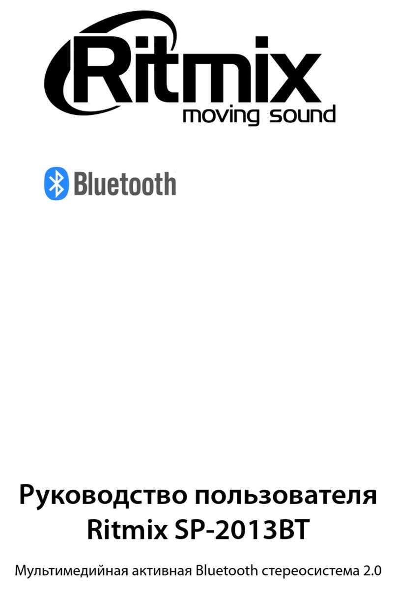 Ritmix SP-2013BT user manual