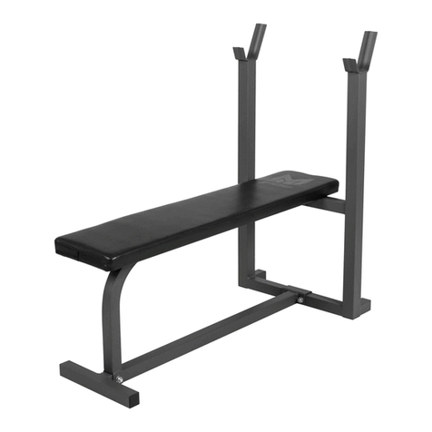 gorilla sports GYRONETICS E Series manual