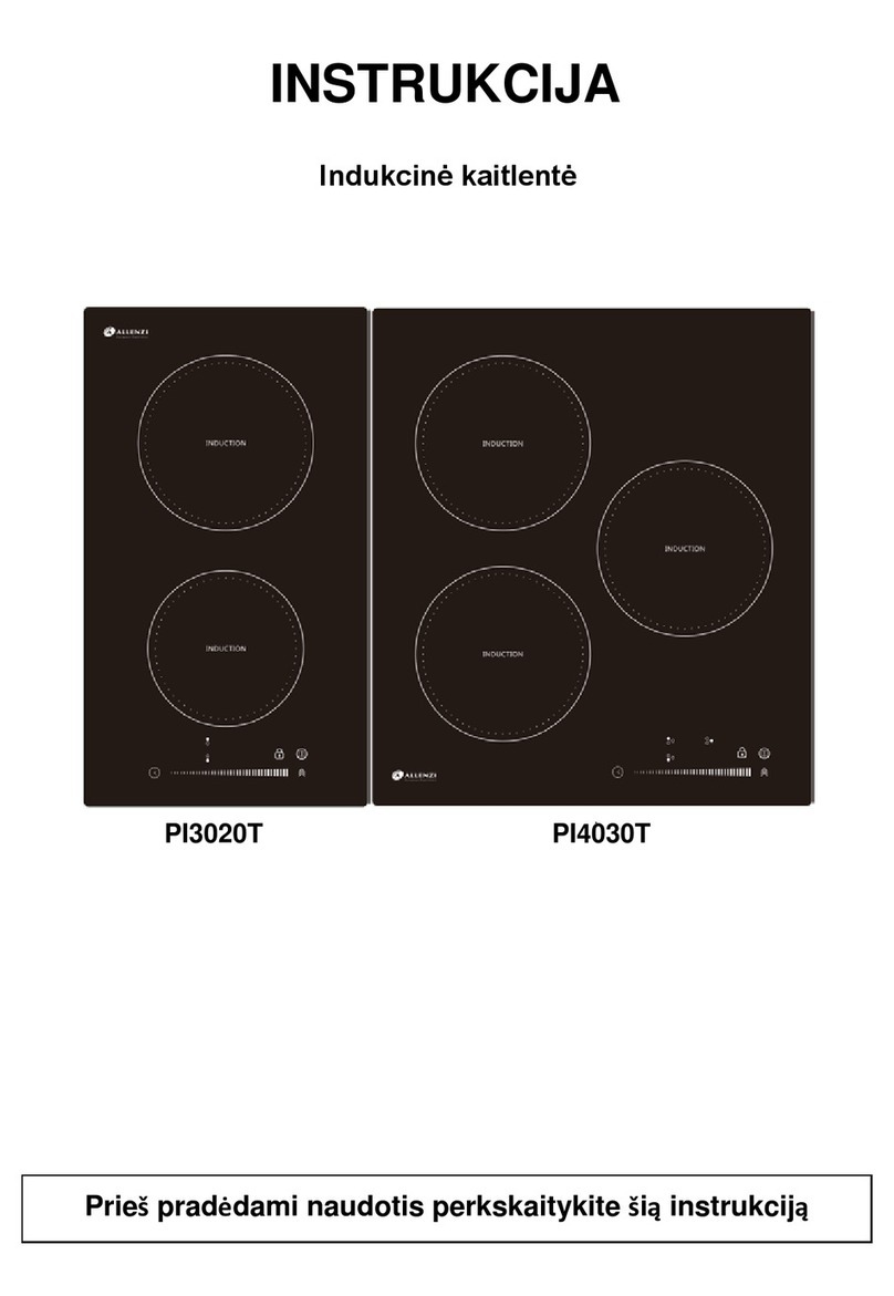 ALLENZI PI3020T manual