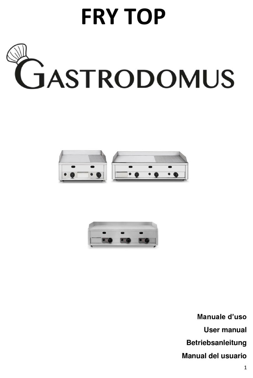 Gastrodomus FRY60L user manual