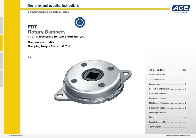 Ace FDT Operating and mounting instructions