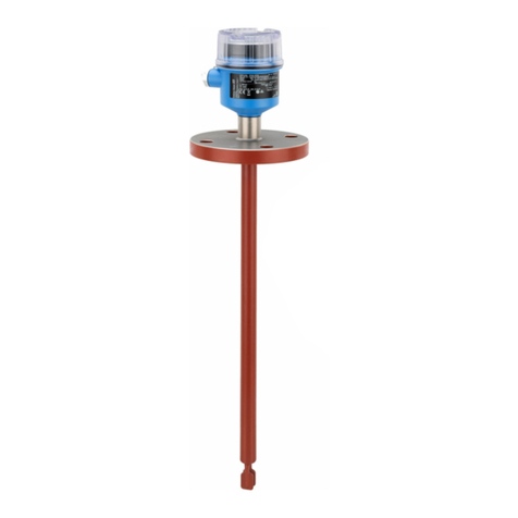 Endress+Hauser Liquiphant FTL62 Technical specifications