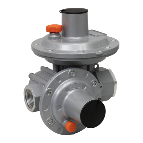 PIETRO FIORENTINI FEX Series User manual