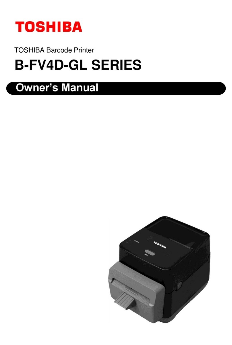 Toshiba B-FV4D-GL User manual