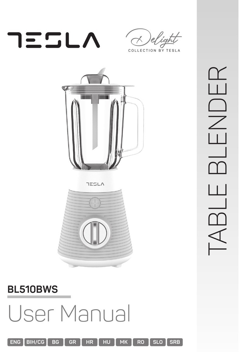 Tesla Delight BL510BWS user manual