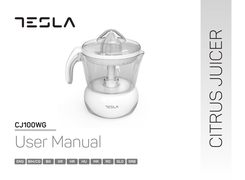 Tesla CJ100WG user manual