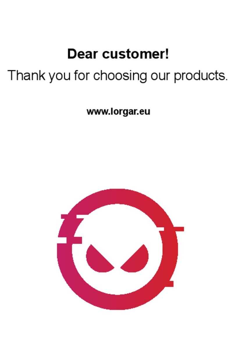 LORGAR LRG-CMT313 manual