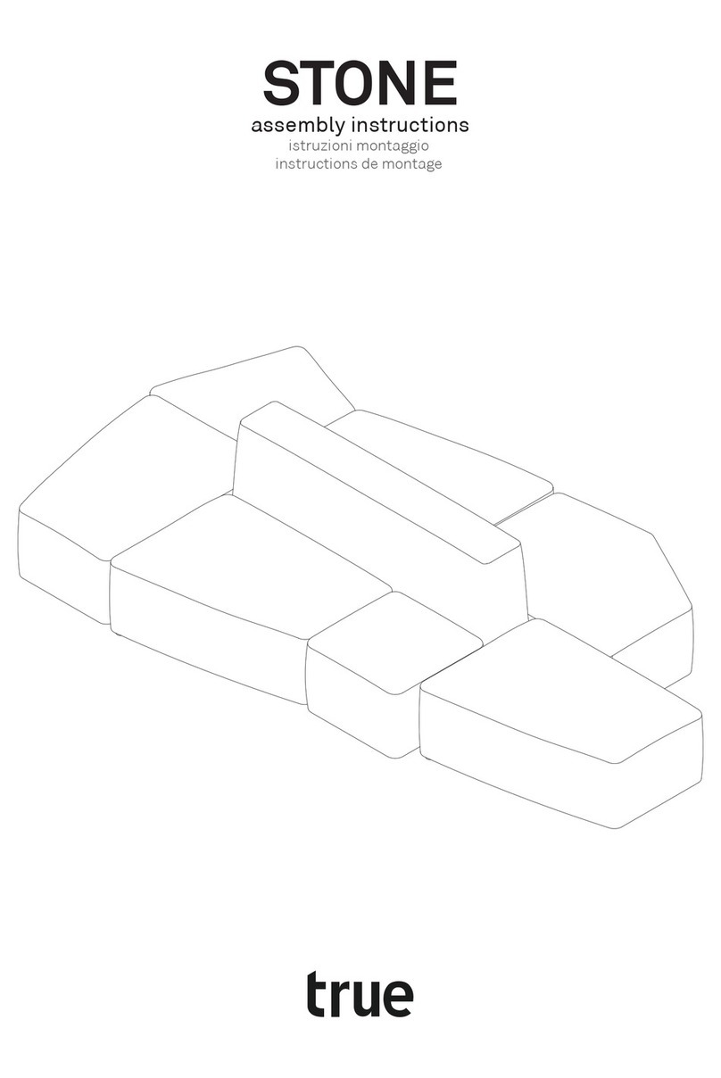True STONE User manual