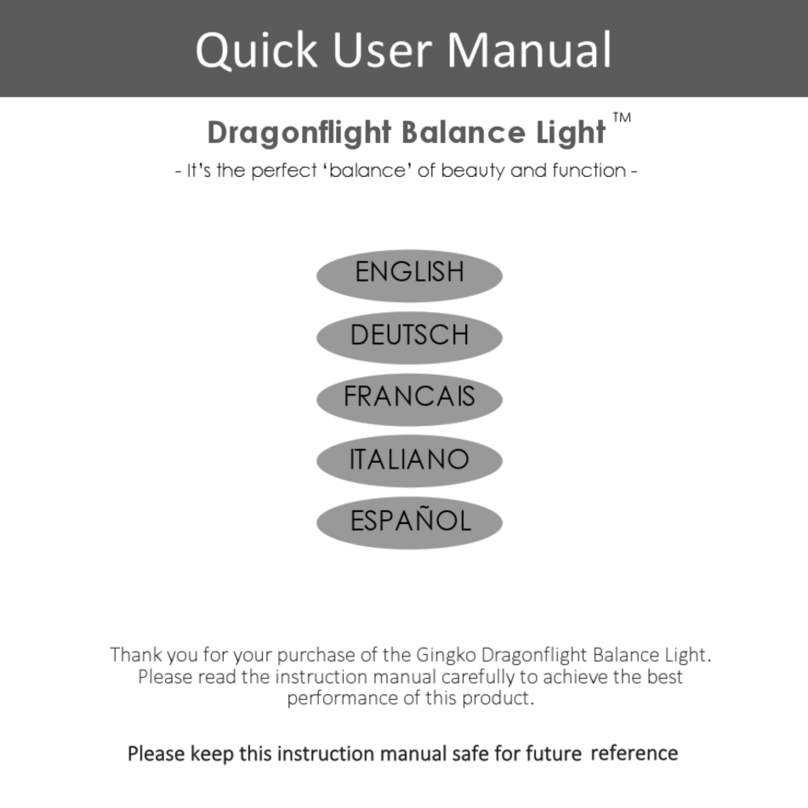 GINGKO Dragonflight Balance Light Quick user manual