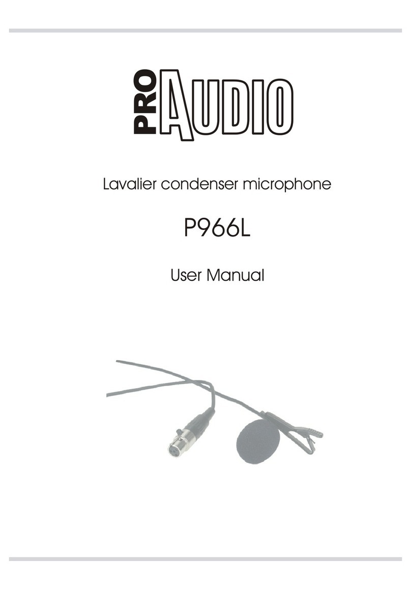 ProAudio P966L User manual