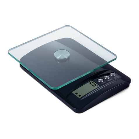 Baxtran Giropes GLASSKS LCD User manual