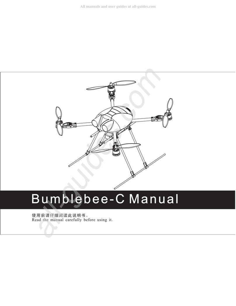 Hobbylord bumblebee-c manual