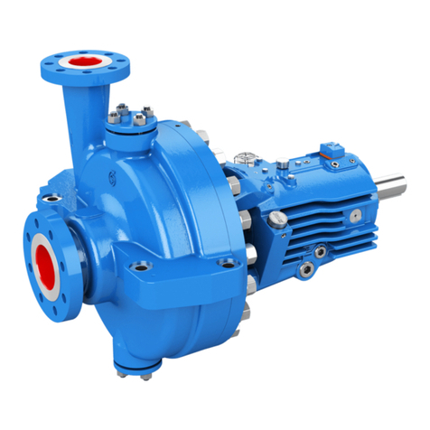 Goulds Pumps 3700i API610 User manual