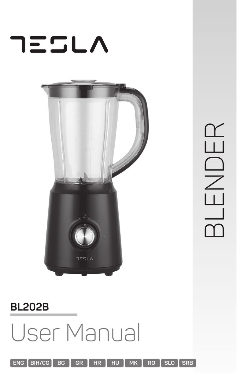 Tesla BL202B user manual