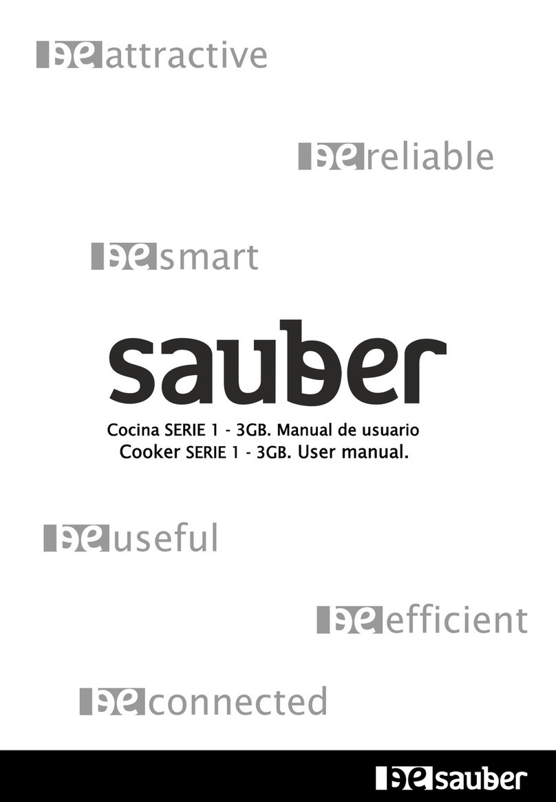 Sauber 1-3GB Series user manual
