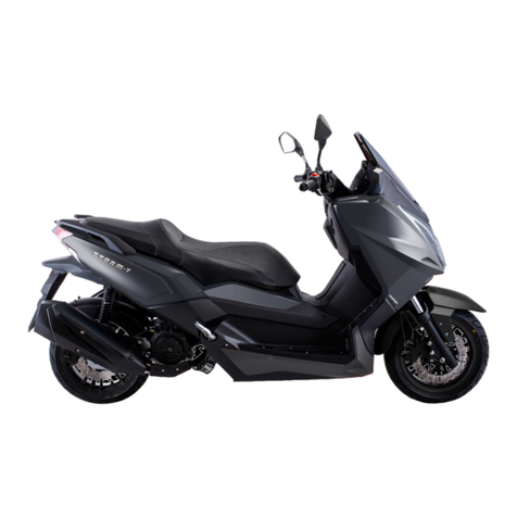 Wottan motor STORM-T 125cc 2022 user manual