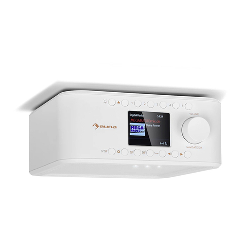 auna Sound Maitre DAB User manual