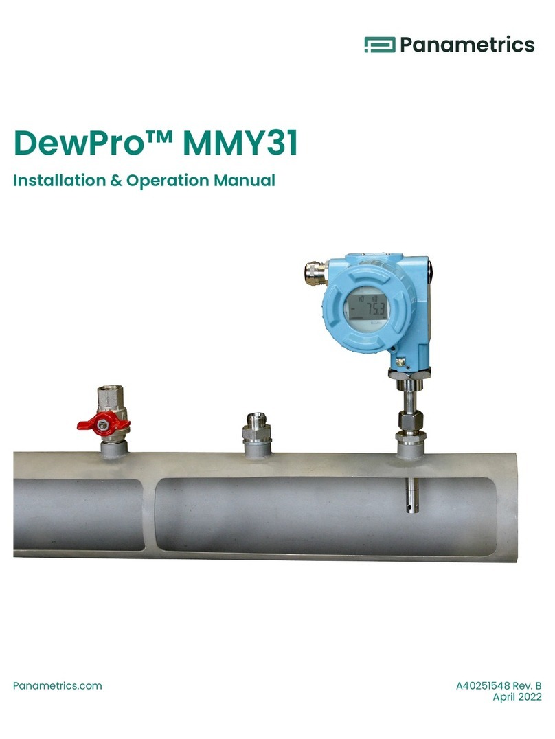 Panametrics DewPro MMY31 Installation and operation manual