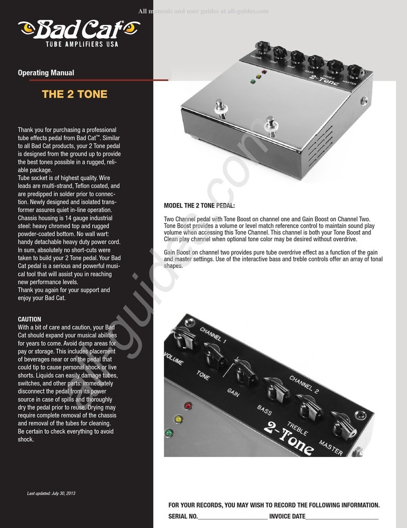 Bad Cat 2-Tone operating manual
