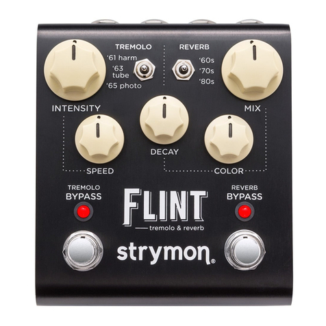 Strymon Flint user manual