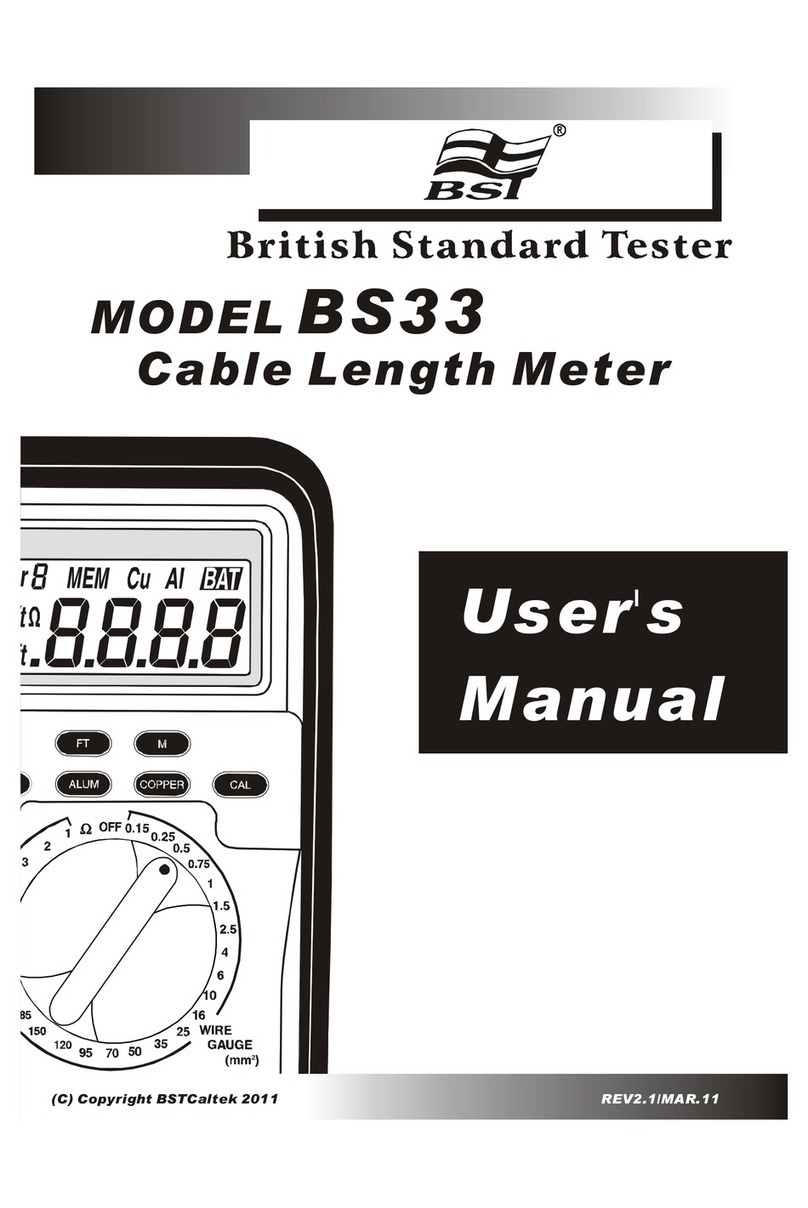 BST BS33 user manual
