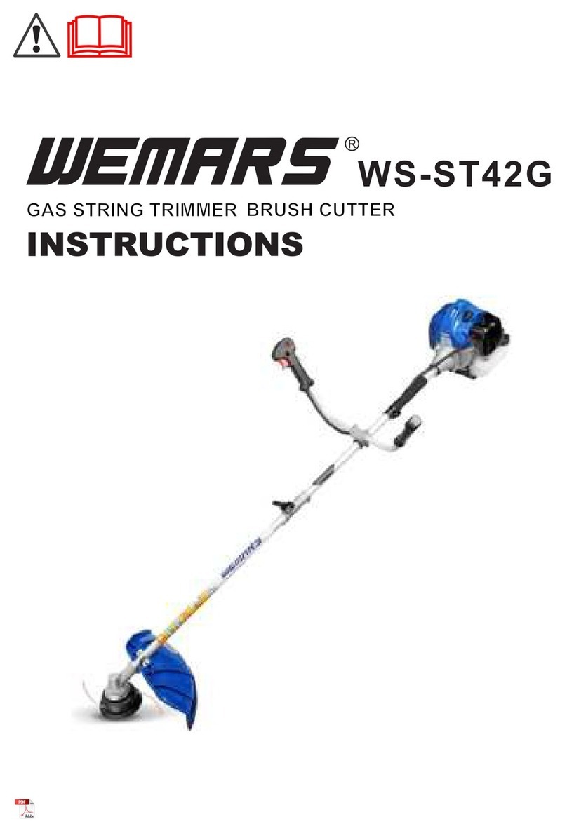 Wemars WS-ST42G instructions