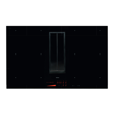 FALMEC Quantum Pro User manual