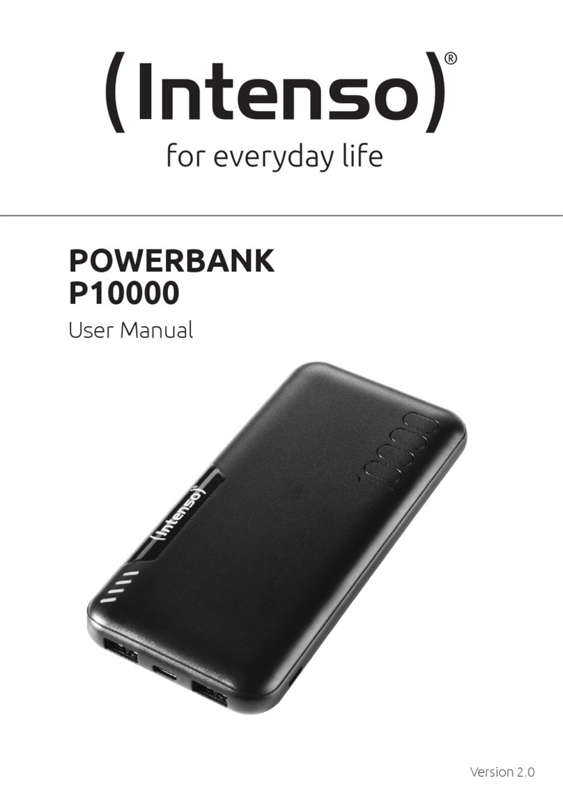 Intenso P10000 user manual