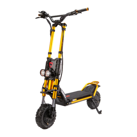Kaabo Wolf Warrior GT Series user manual