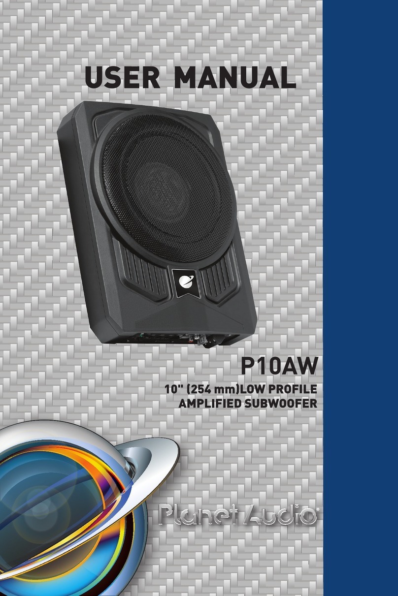 Planet Audio P10AW User manual