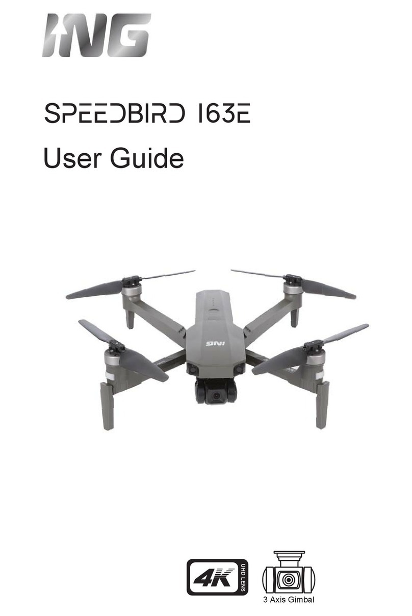 ING SPEEDBIRD 163E user guide