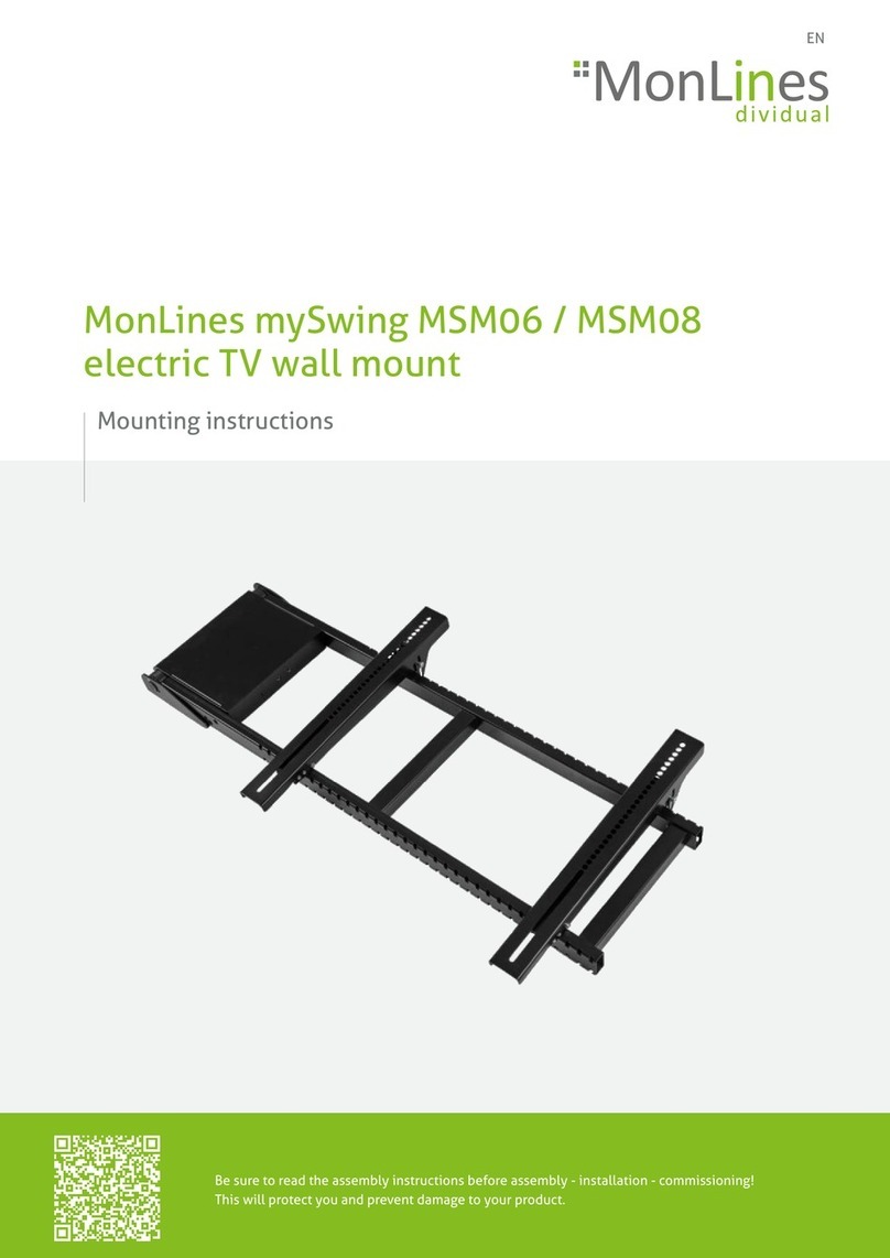 MonLines mySwing MSM06 User manual