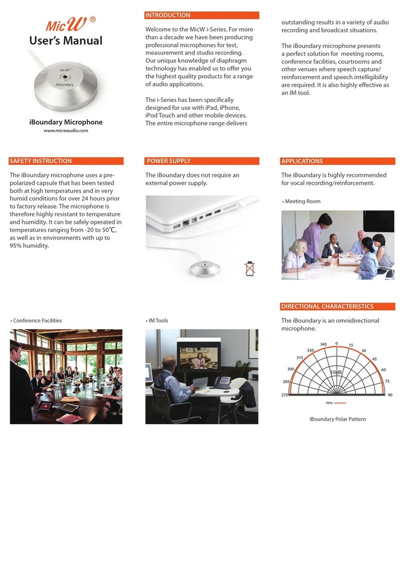 MicW Audio MicW i Series User manual