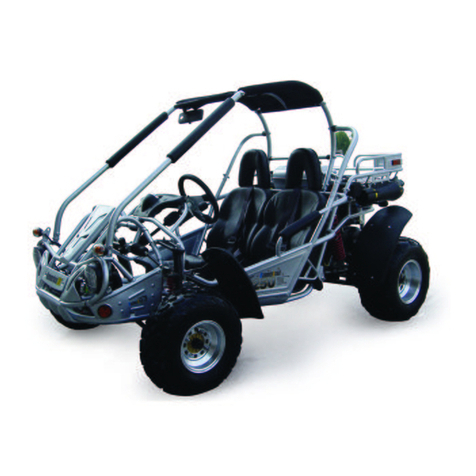 Hammerhead SUPER 250 2008 User manual