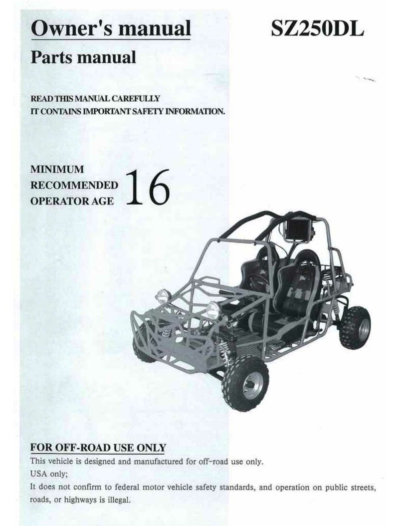 Joyner Dirt Devil 250 2004 User manual