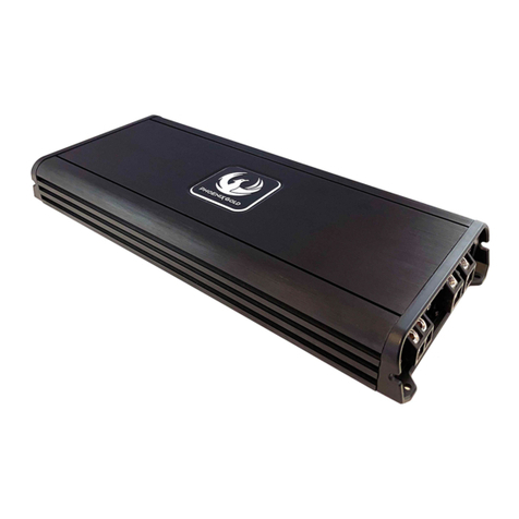 Phoenix Gold ZT Series User manual