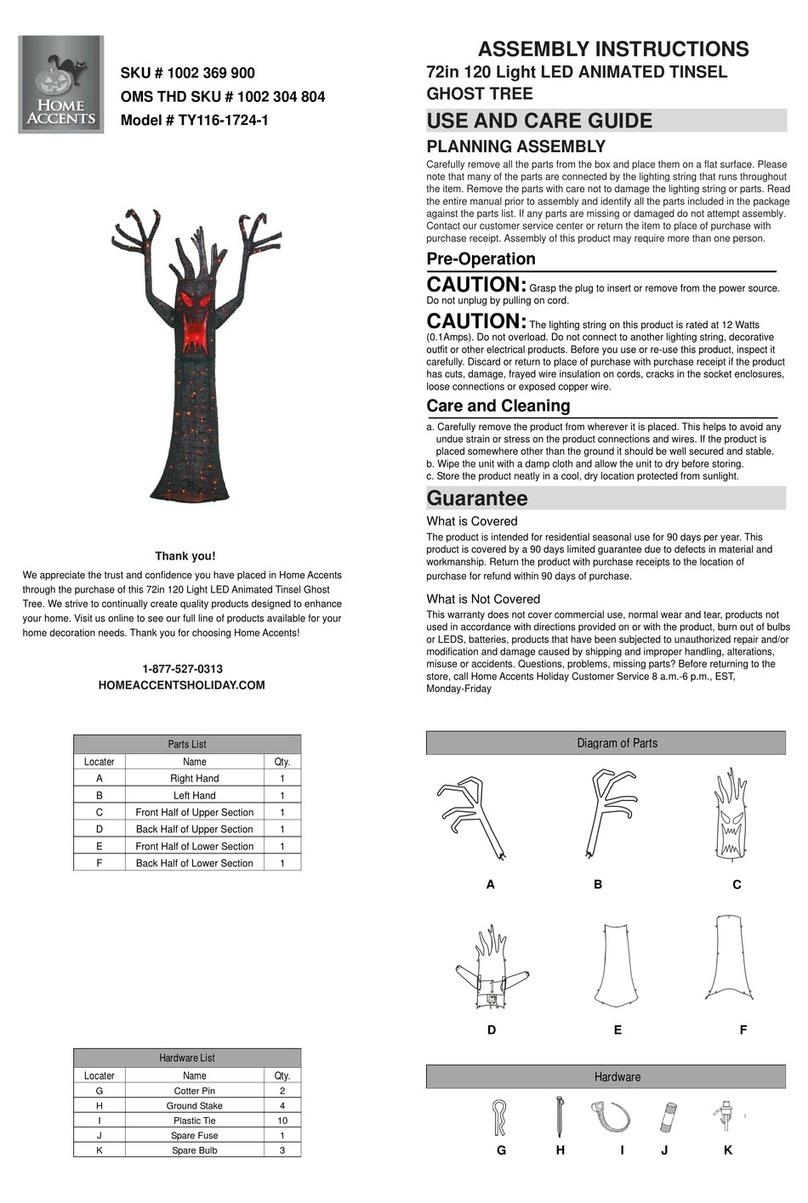 Home Accents TY116-1724-1 User manual